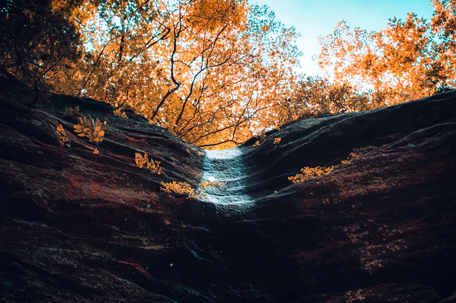 A waterfall framed by autumn trees