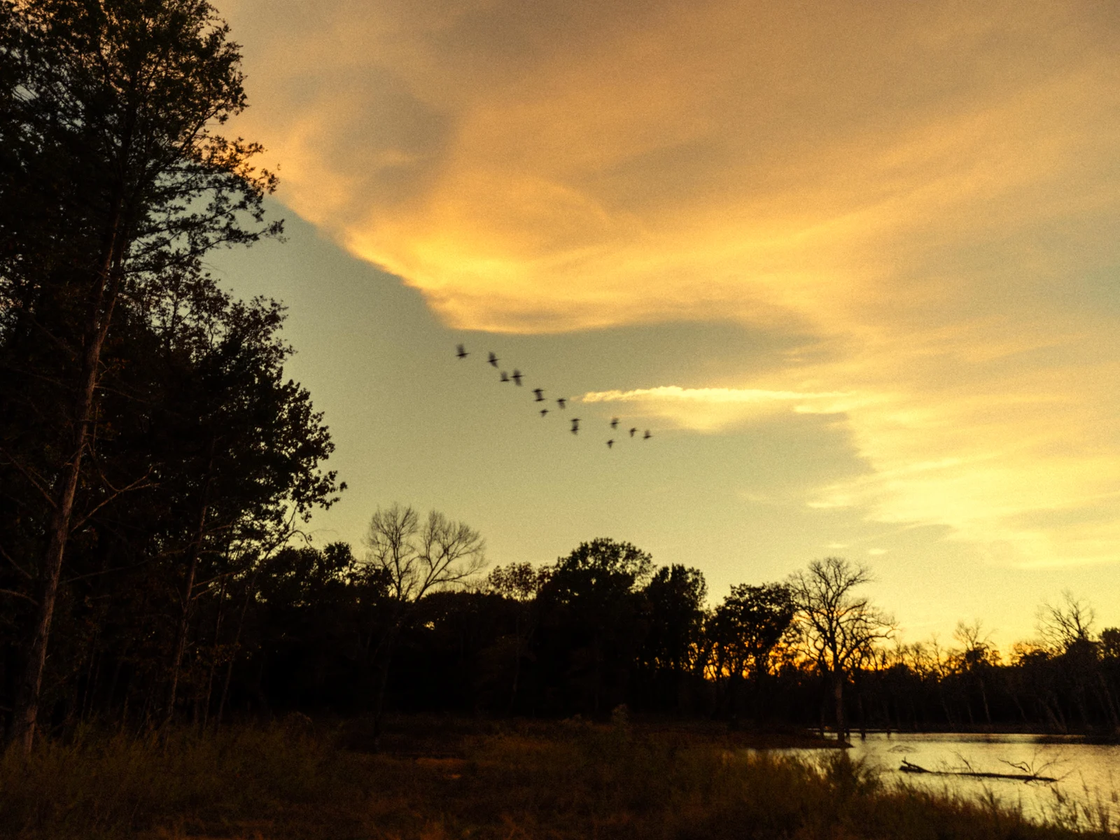 Birds crossing a warm sunset sky