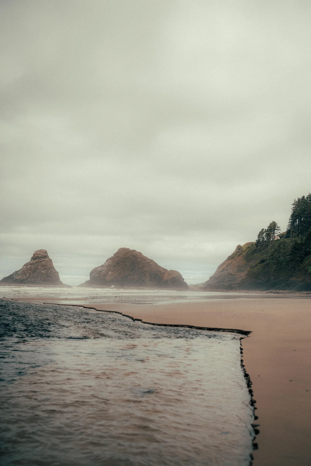 Misty Pacific coast with sea stacks