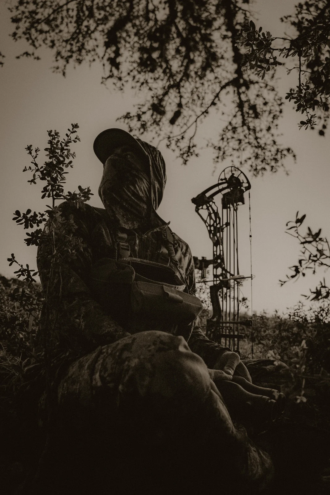 Turkey hunter under trees